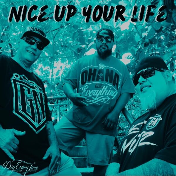 Cover art for Nice Up Your Life